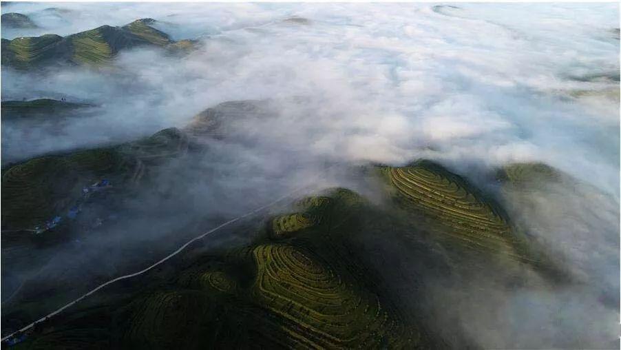 逃离阴森的岛屿