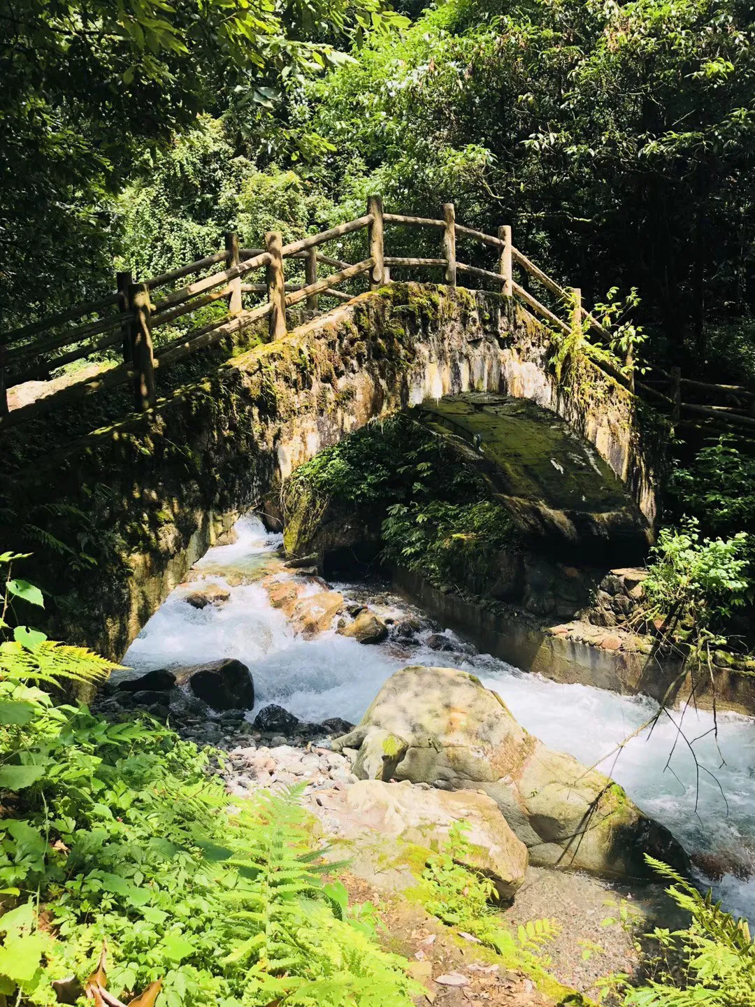 银发经济正“青春”